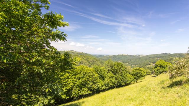 Paysage du Ségala - vue vers St Laurent les Tours