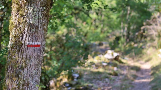 PR chemin de la Pierre Levée