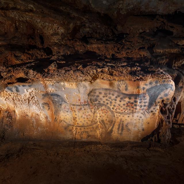 Chevaux ponctués - vue très large - Grotte du Pech Merle