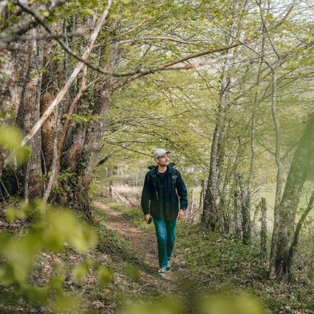 Balade Aux Alentours De Gourdon © Maxime Audouard Lot Tourisme 20230416 103312