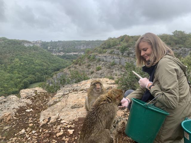 220929 Foret Des Singesimg 5472c.seguy Lot Tourisme