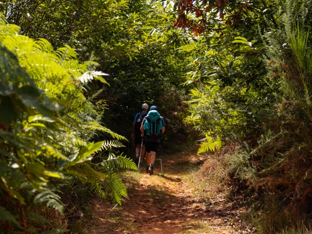 Randonneurs sur le GR 652 en Bouriane