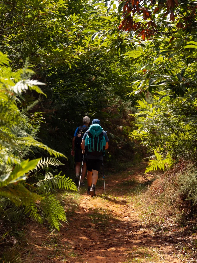 Randonneurs sur le GR 652 en Bouriane