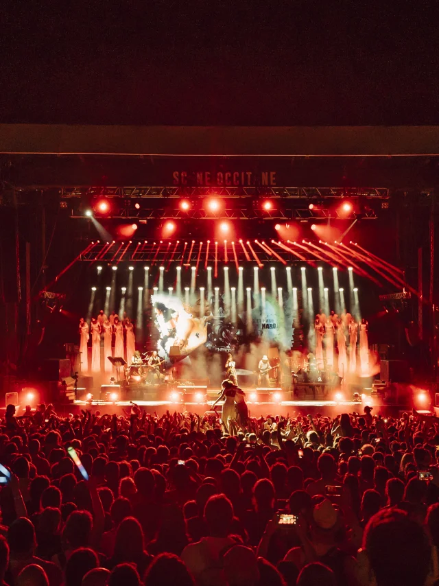 Festival Ecaussysteme