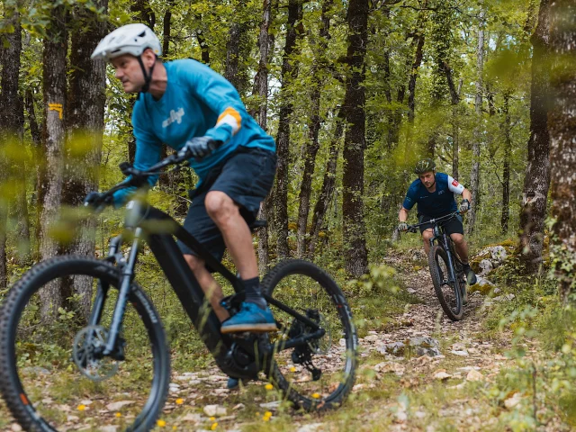 Descente VTT au cœur des sentiers boisés