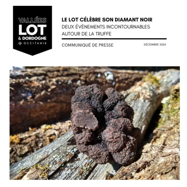 Communiqué de presse Lot Tourisme – Truffes décembre 2024
